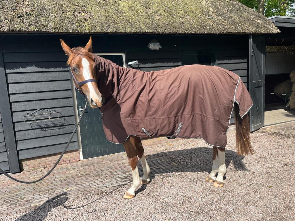 Winterdeken horseware amigo 400 gram bruin+ hals, Dieren en Toebehoren, Paarden en Pony's | Dekens en Dekjes, Ophalen of Verzenden