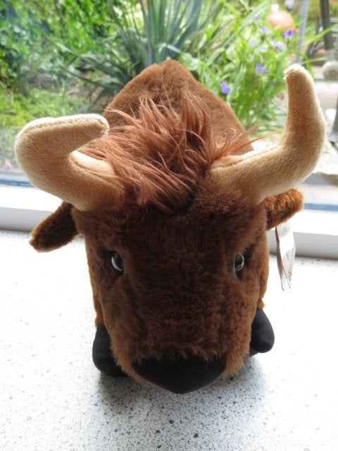 Hooglander Koe stier merk Paws Dinotoys meet ca 32 cm breed, Nieuw, Ophalen of Verzenden, Middelgroot (20 tot 80 cm), Met label