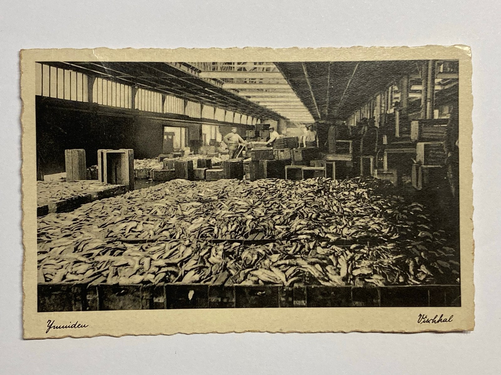 Zeldzame ansichtkaart Vischhal IJmuiden 1933 - Gelopen, Verzamelen, Verzenden, 1920 tot 1940, Gelopen, Overig Europa