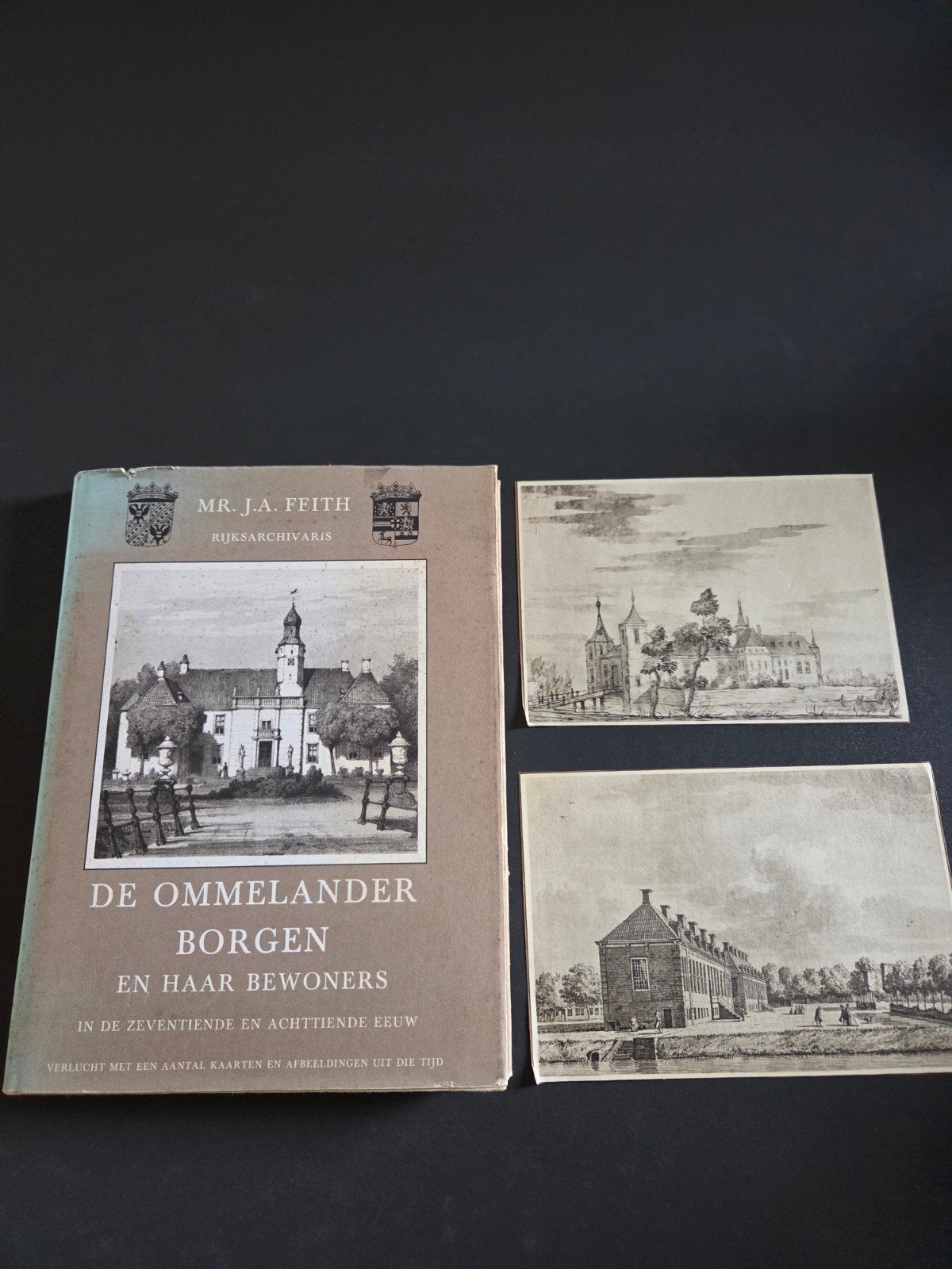 De Ommelander Borgen en haar bewoners 17e en 18e eeuw, Ophalen of Verzenden, Gelezen