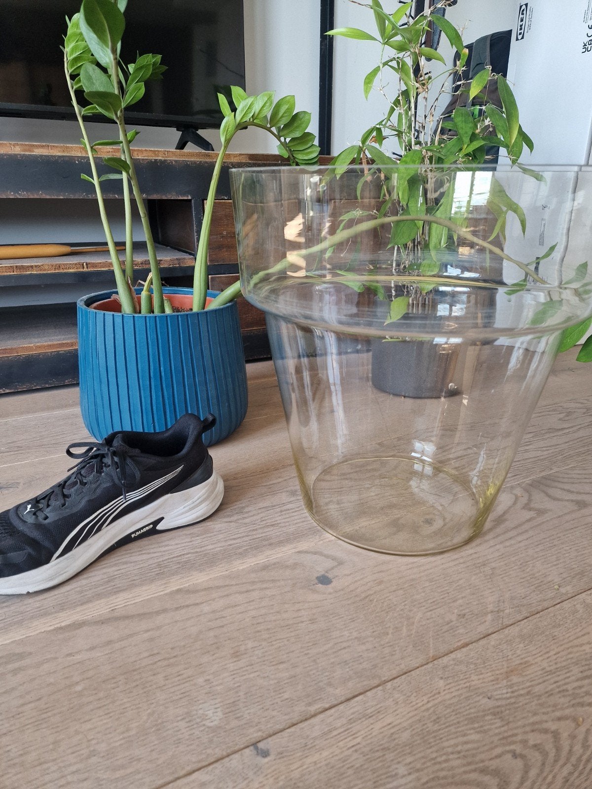 Hoge kwaliteit glazen bloempot - 39cm diameter, Tuin en Terras, Bloempotten, Overige materialen, Rond, Zo goed als nieuw, Minder dan 40 cm