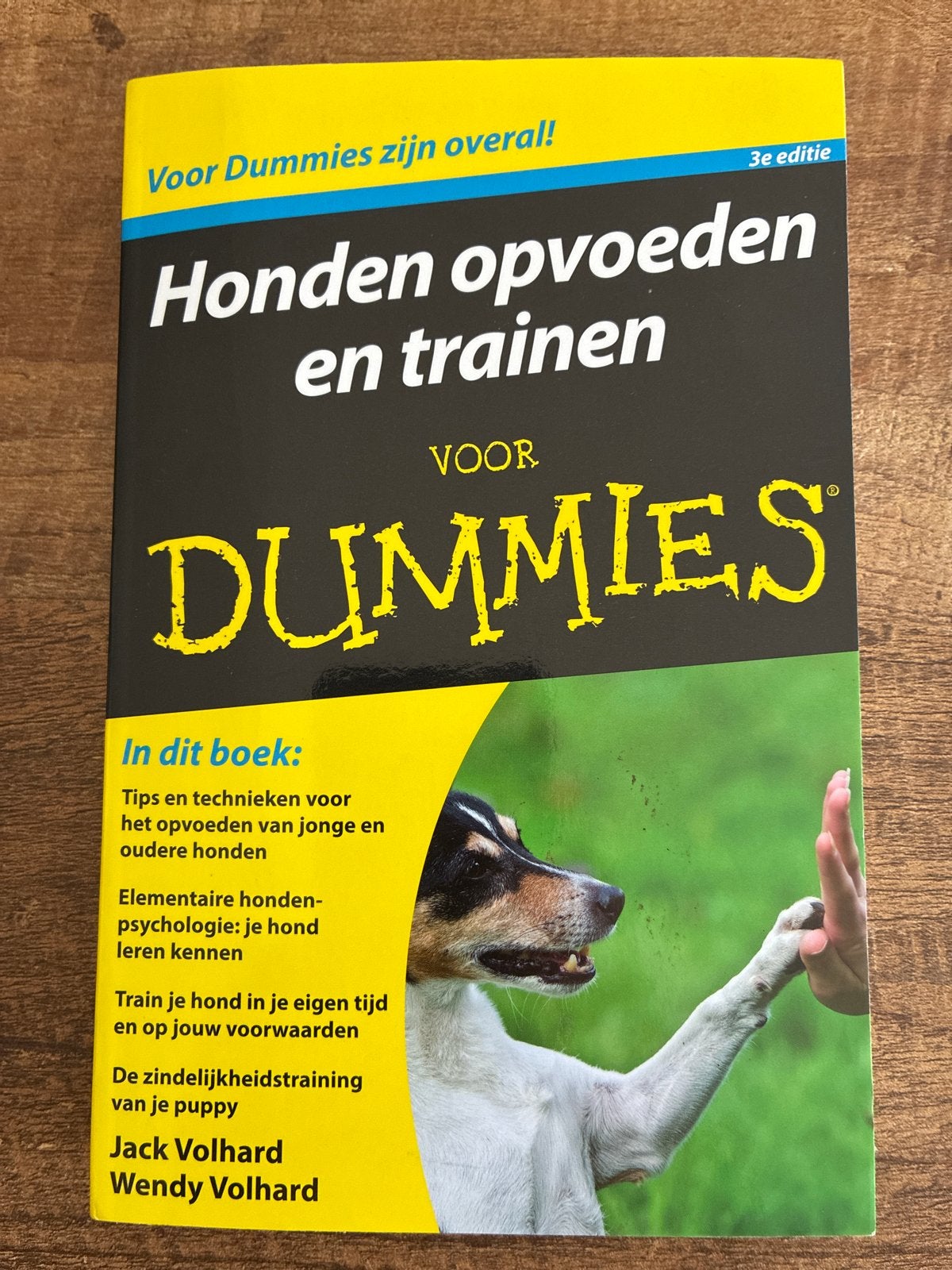 Honden opvoeden en trainen voor Dummies - 3e editie, Boeken, Ophalen of Verzenden, Zo goed als nieuw, Honden