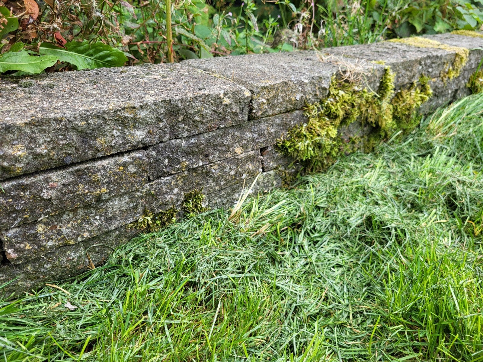 Gratis halve betontegels 30x15x4 cm voor border, Ophalen, Gebruikt, Beton, Overige typen