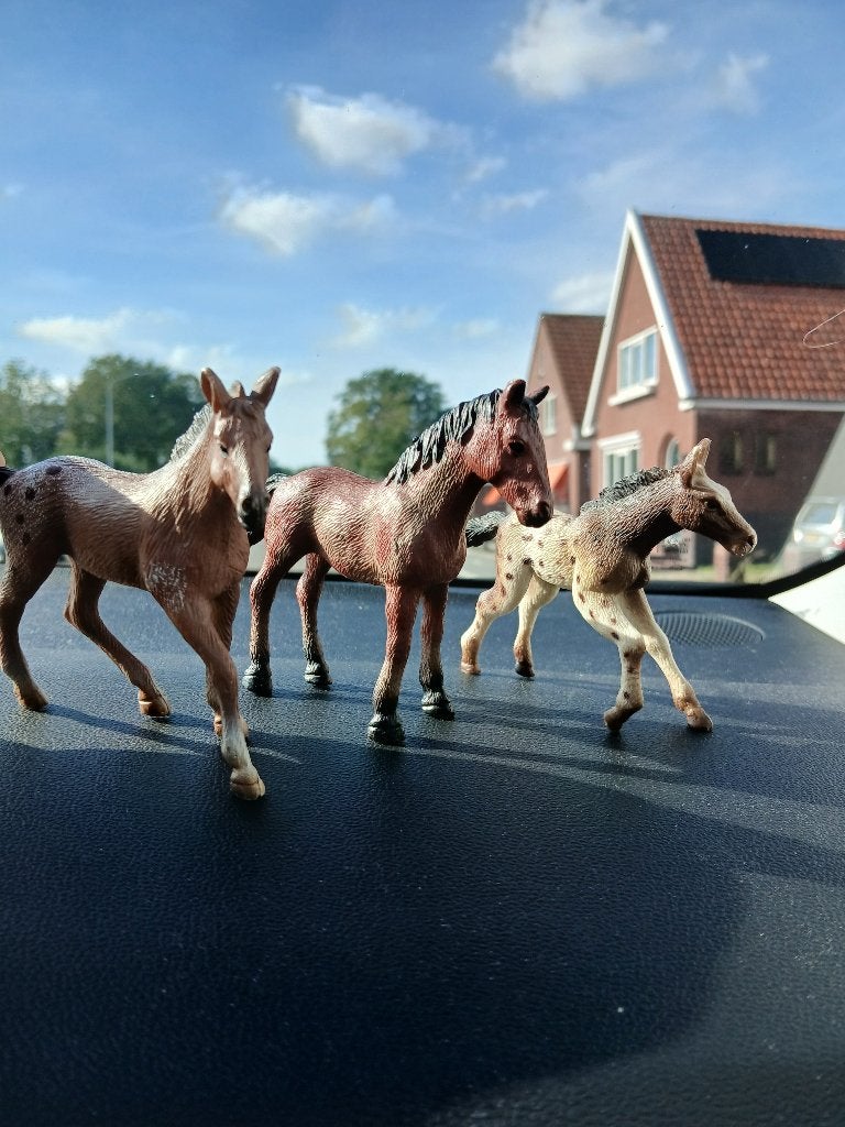 Paardjes, Ophalen of Verzenden, Zo goed als nieuw, Paard, Beeldje of Figuurtje