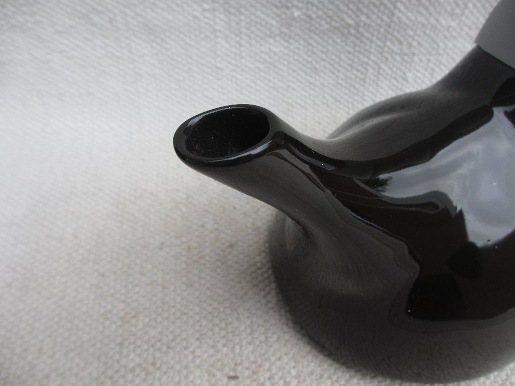DESIGN THEEPOT VAN NICOLAI CARELS., Overige typen, Ophalen of Verzenden, Overige stijlen, Glas