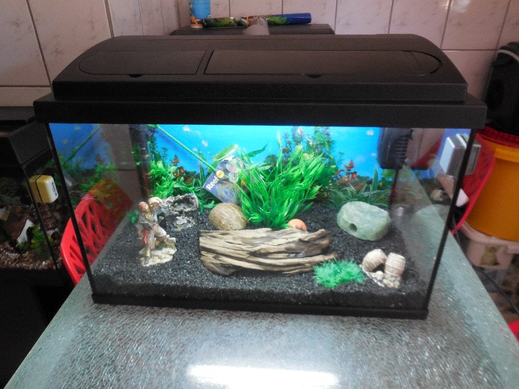 compleet 60 cm MP aquarium met toebehoren, Dieren en Toebehoren, Ophalen, Gebruikt, Leeg aquarium, Verwarming