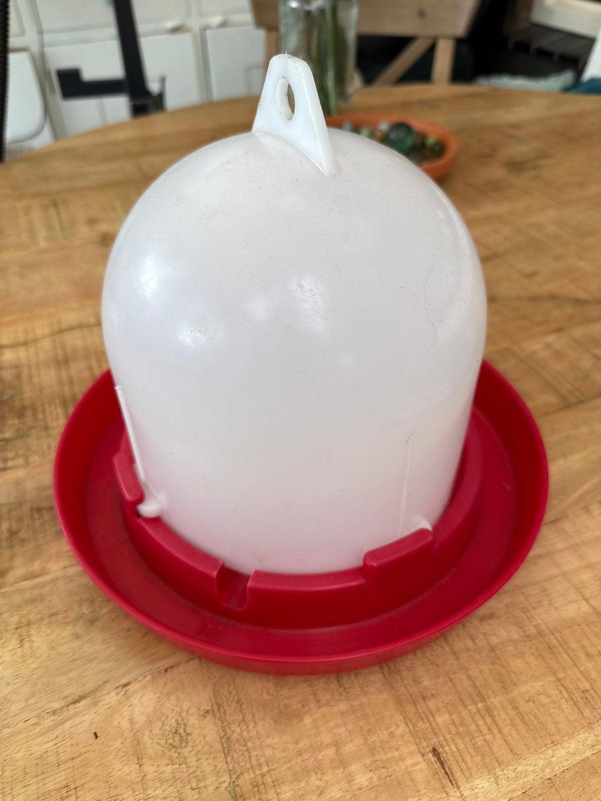 Waterbak kippen middelgroot, Ophalen, Gebruikt, Drinken en Voederen