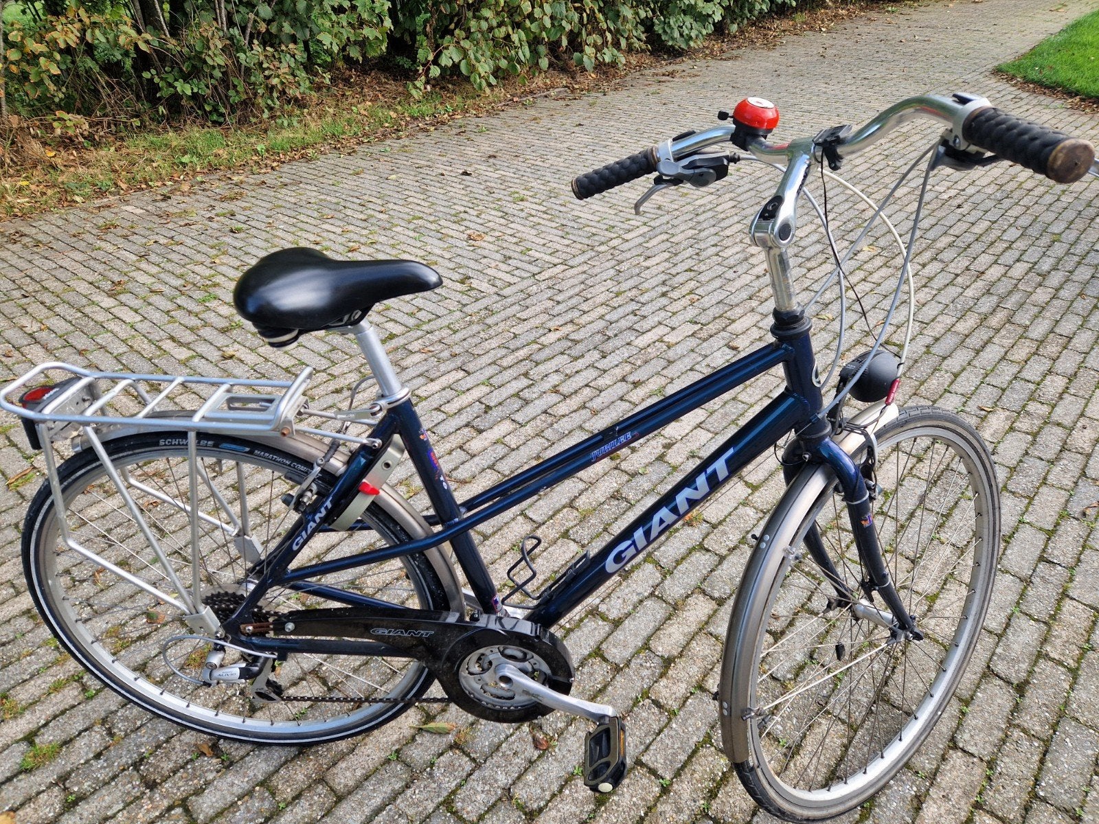 fietsen, Ophalen, 28 inch, Velgrem, Giant