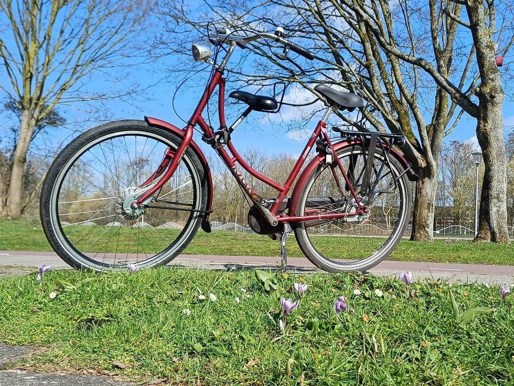 damesfiets Azor Ameland -- rood, Versnellingen, Schijfrem, 1 zitje, Ophalen