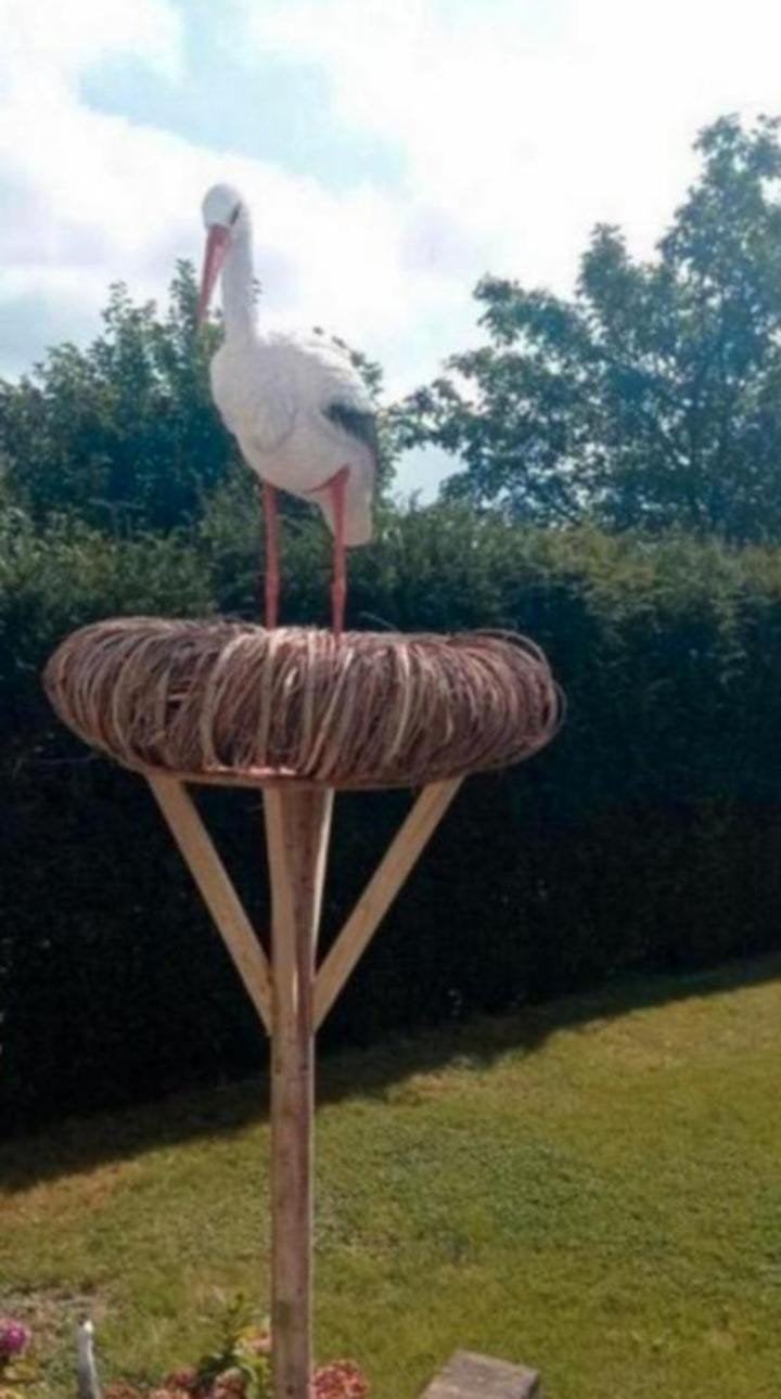 Te huur, ooievaar op nest, met naambord, Ophalen
