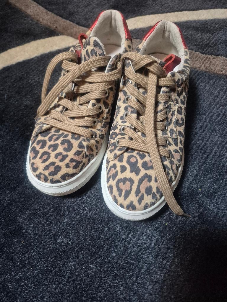 Aan Rocks schoenen, Overige kleuren, Ophalen, Aan Rocks, Sneakers of Gympen