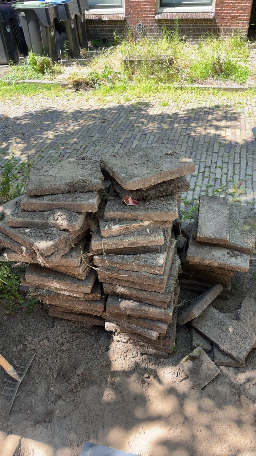 Gratis af te halen: Gebruikte stoeptegels, Ophalen, Gebruikt, 10 m² of meer, Beton