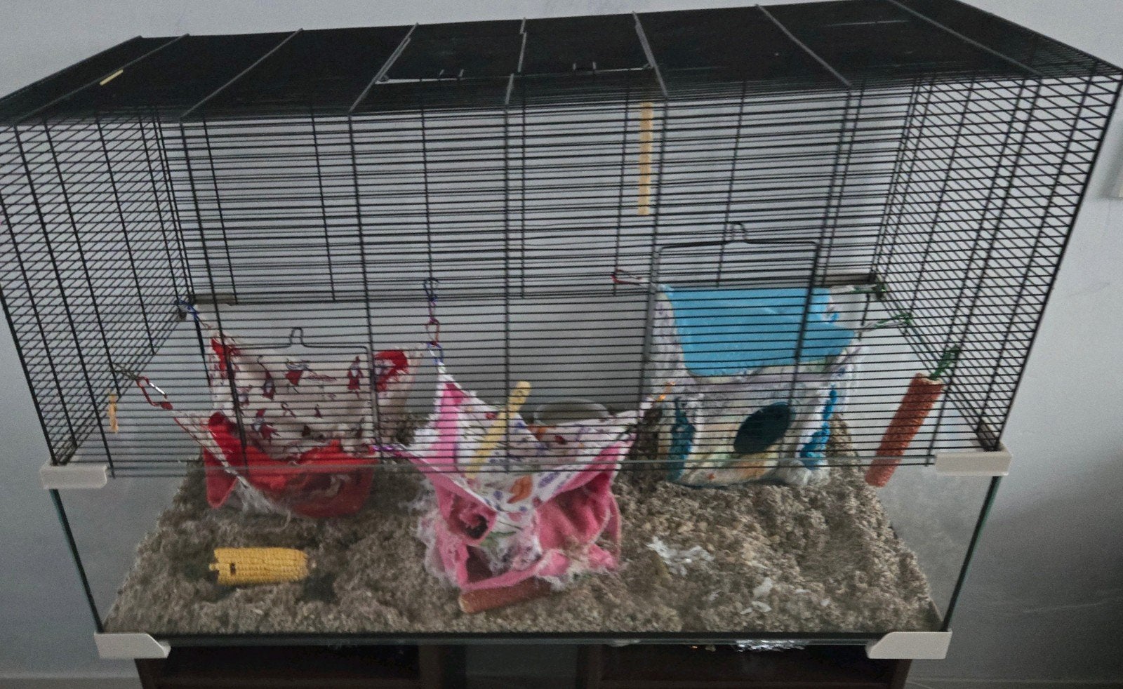 Grote ferplast karat 120 x 50 x 61 cm Kooi, Ophalen, Kooi, 60 tot 90 cm, Cavia