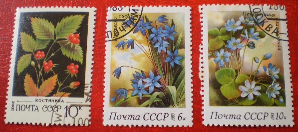 CCCP - 3x Bloemen / Planten - 1982 / 1983, Verzenden, Gestempeld