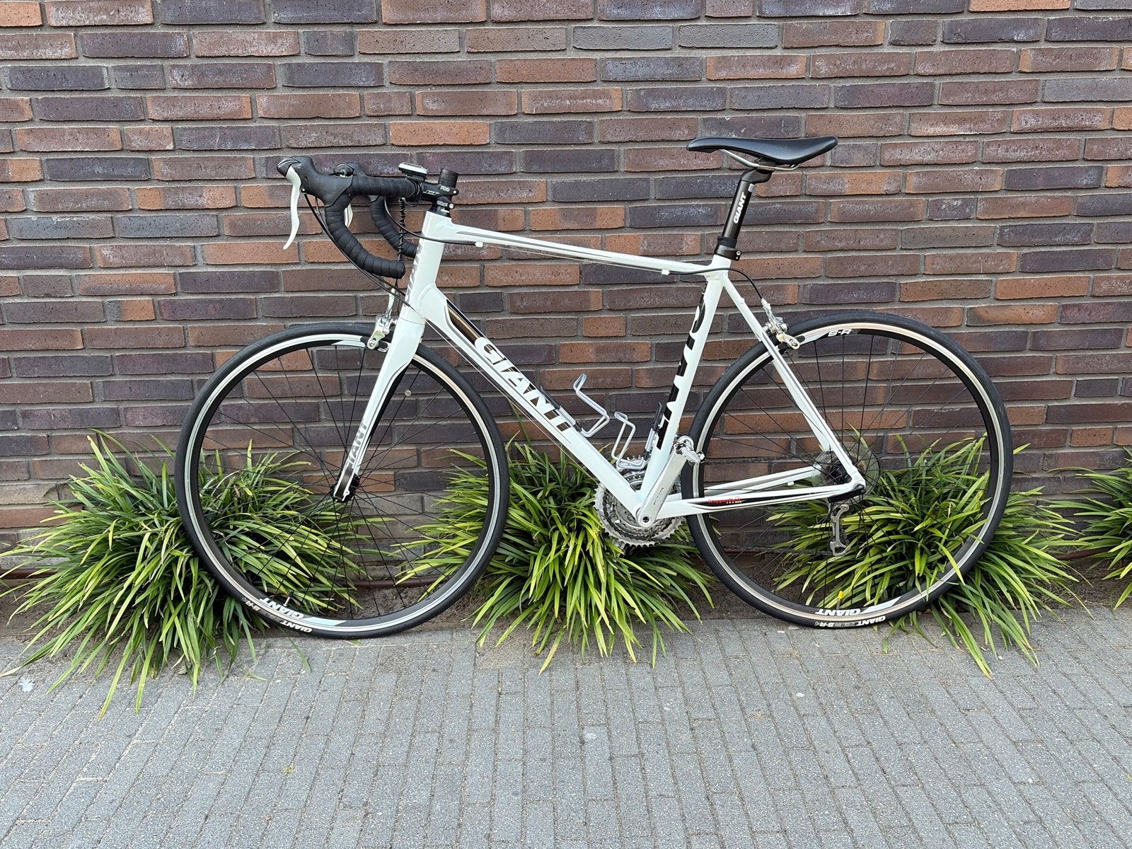 Giant Defy racefiets - Wit, maat L, Ophalen, 28 inch, Gebruikt, Aluminium
