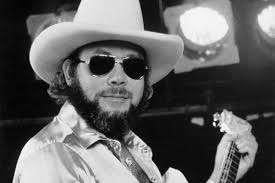 Hank Williams jr. - diverse LP's (eventueel ook los te koop), Ophalen of Verzenden, Zo goed als nieuw, 12 inch