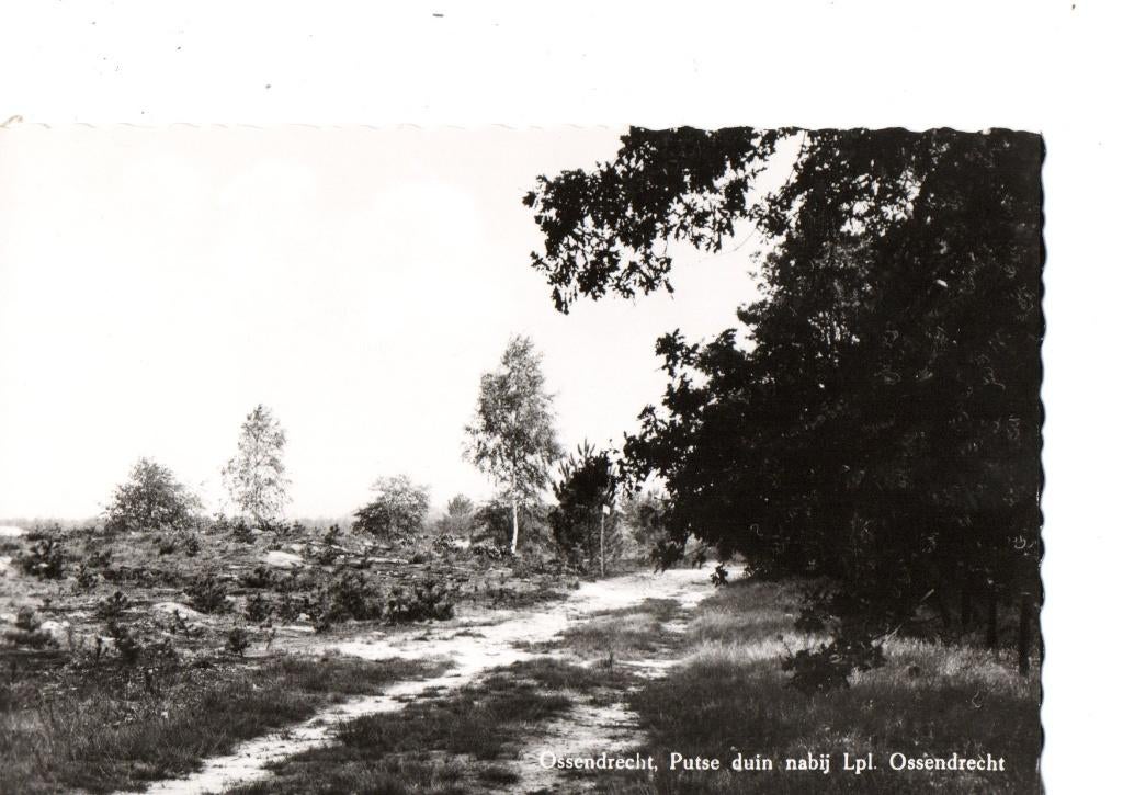 Ossendrecht. Putse duin nabij Lpl. Ossendrecht. **, Ophalen of Verzenden, 1960 tot 1980, Ongelopen, Noord-Brabant