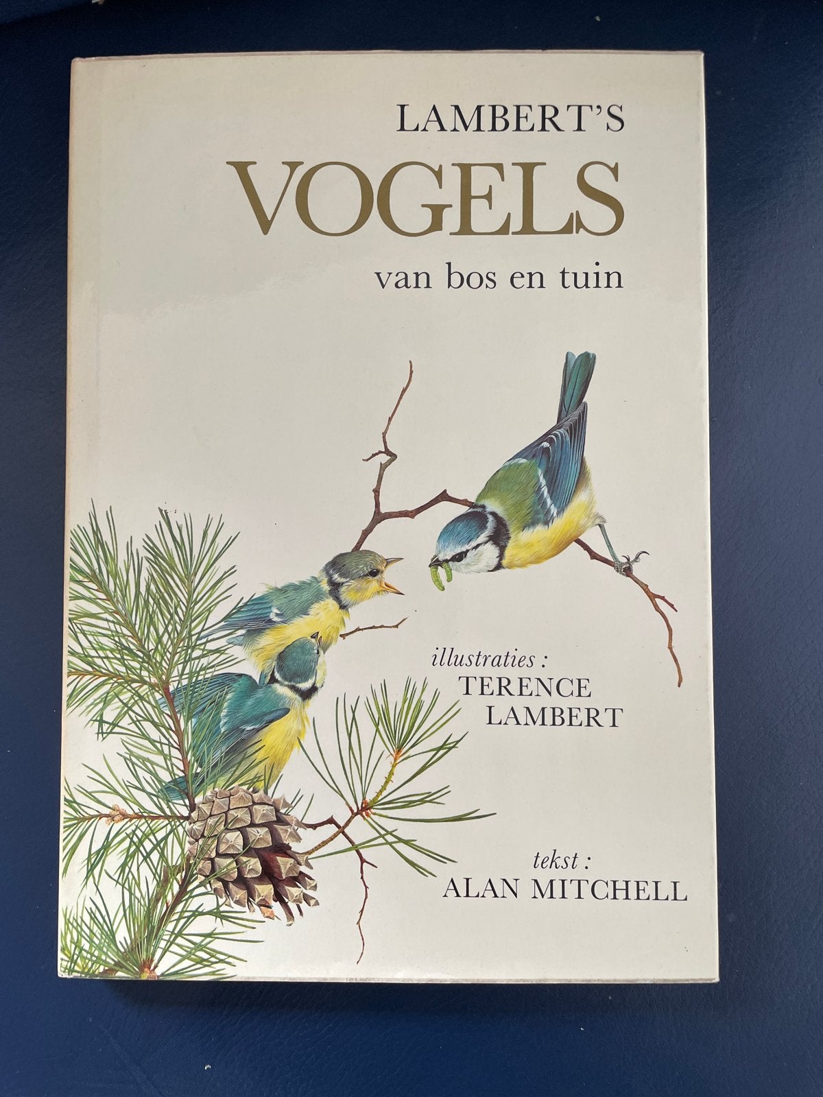 Lambert's Vogels van bos en tuin - Alan Mitchell, Ophalen of Verzenden, Gelezen, Vogels