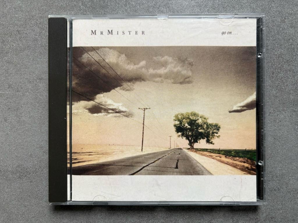 Mr. Mister - Go On..., leuke cd in goede staat, Cd's en Dvd's, Cd's | Pop, Ophalen of Verzenden, Zo goed als nieuw