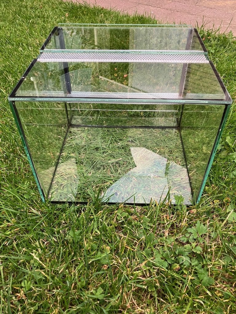 terrarium, Dieren en Toebehoren, Reptielen en Amfibieën | Toebehoren, Ophalen, Zo goed als nieuw, Terrarium of Paludarium