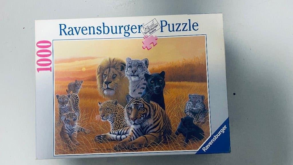 Legpuzzels, Hobby en Vrije tijd, Denksport en Puzzels, Ophalen of Verzenden, 500 t/m 1500 stukjes, Zo goed als nieuw, Legpuzzel
