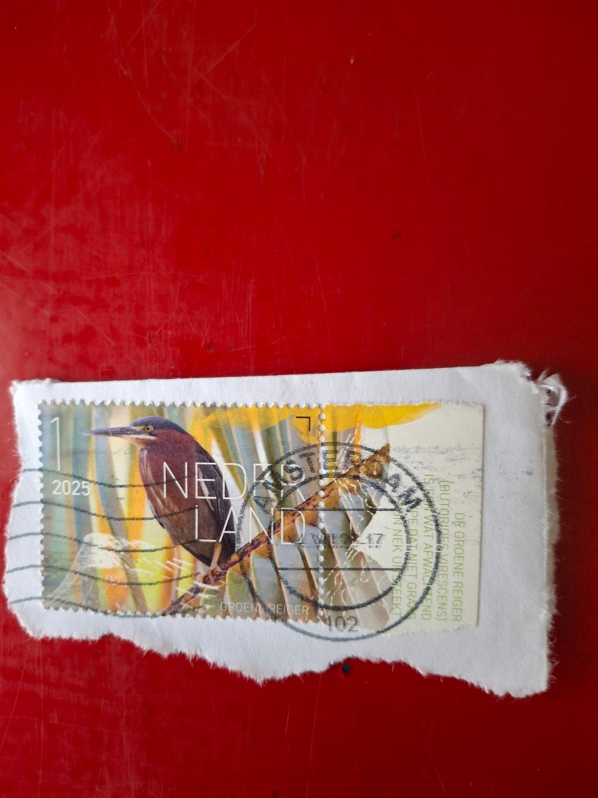 Nederland 2025, Postzegels en Munten, Postzegels | Nederland, Ophalen of Verzenden, Gestempeld