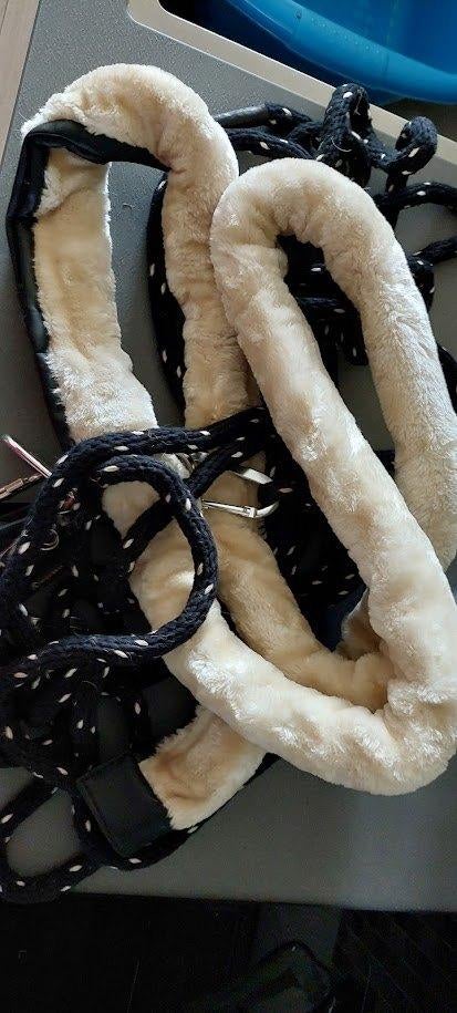 Aangeboden: Concord longeerhulp, Dieren en Toebehoren, Ophalen of Verzenden, Nieuw, Overige soorten