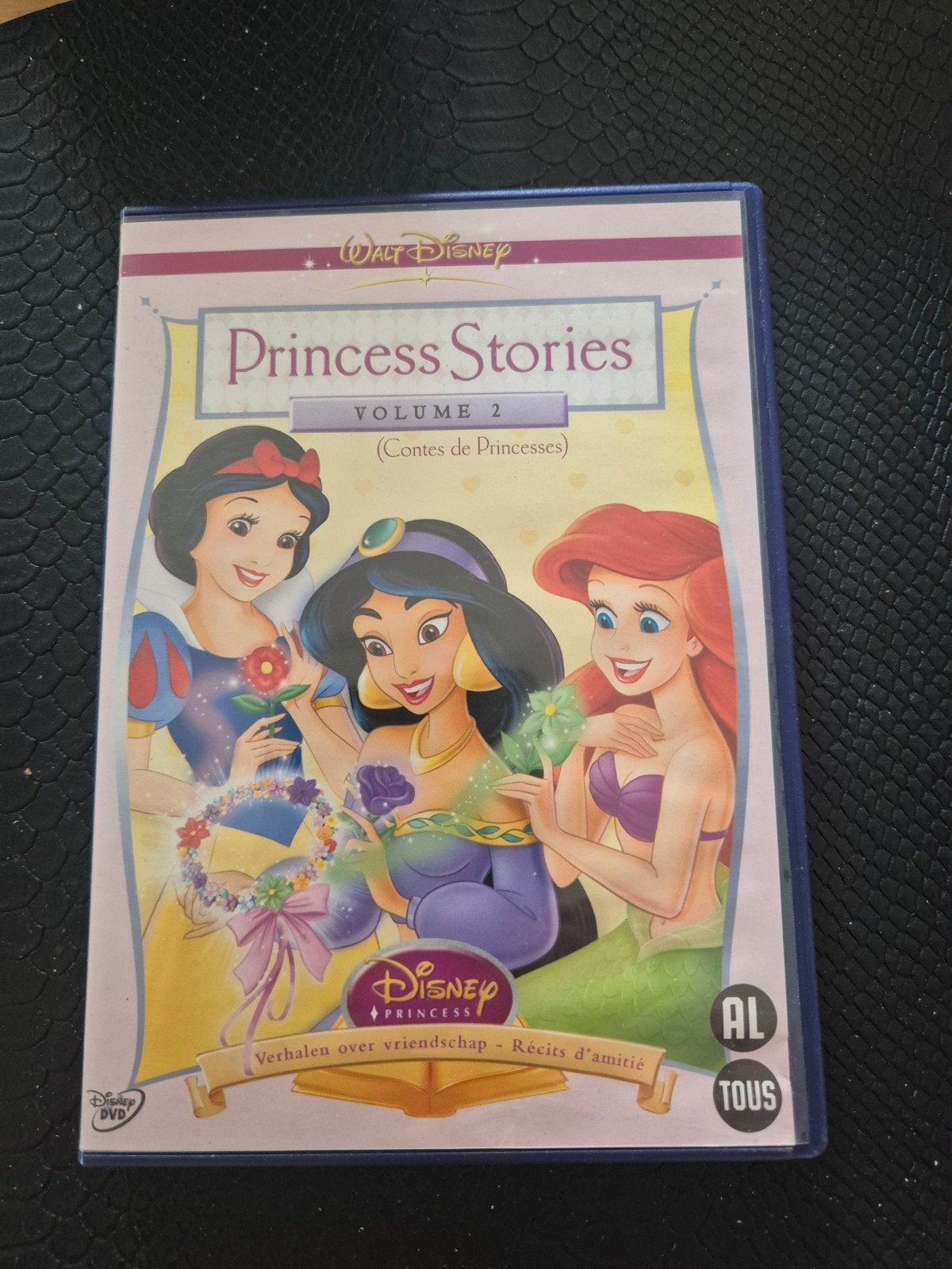 Princess Stories, Alle leeftijden, Ophalen of Verzenden, Zo goed als nieuw, Amerikaans