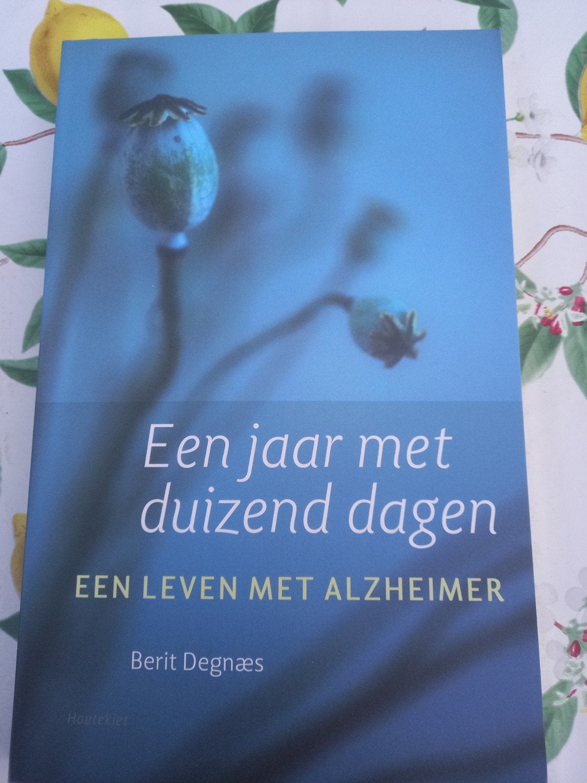 H B. Degnaes - Een jaar met duizend dagen, Ophalen of Verzenden, Zo goed als nieuw, B. Degnaes