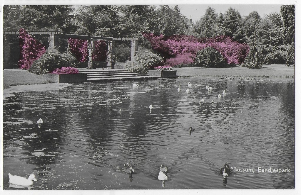 Bussum eendjespark oude gelopen ansichtkaart ( 6434 ), Ophalen of Verzenden, 1940 tot 1960, Gelopen, Noord-Holland