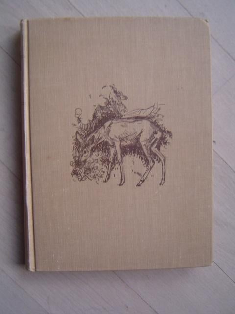 Op de bergwei  Hermann Lons  jacht jagen, Boeken, Ophalen of Verzenden, Gelezen, Vogels