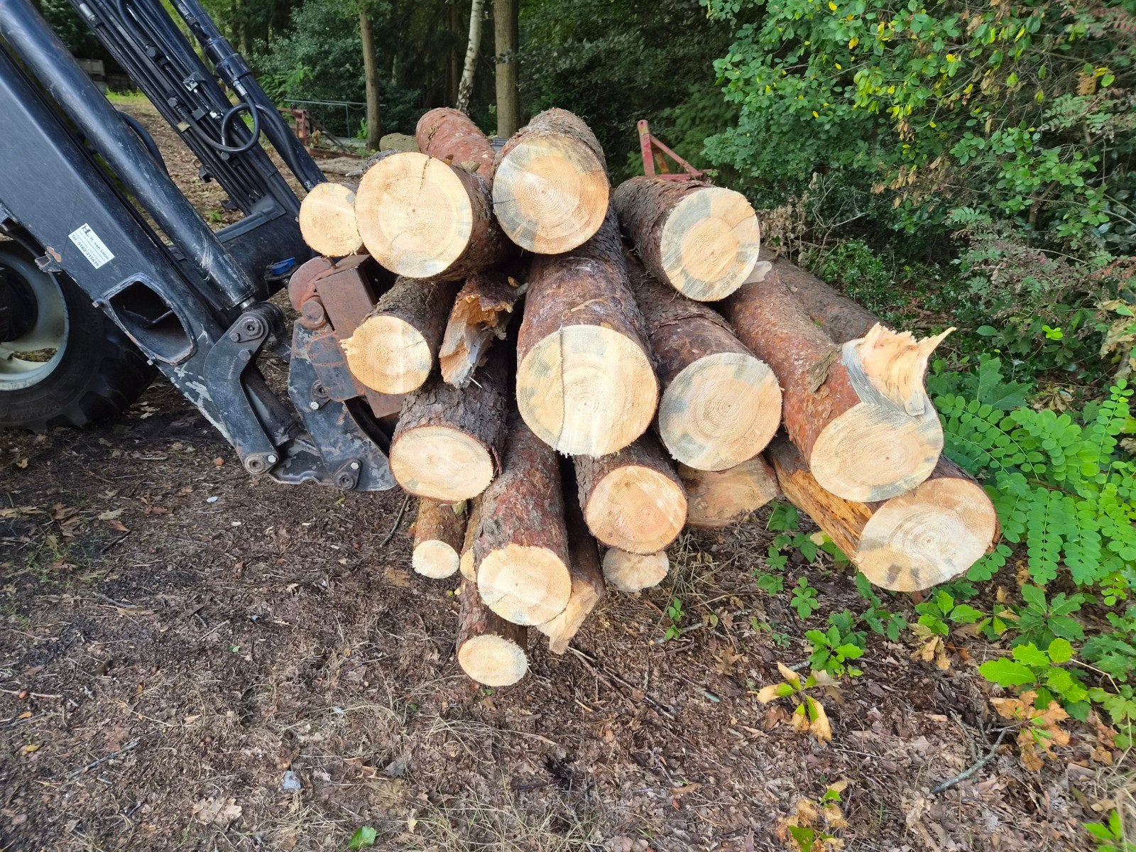 haardhout, Tuin en Terras, Haardhout, Minder dan 3 m³, Ophalen, Overige houtsoorten, Stammen
