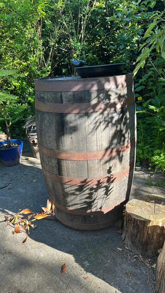 Regenton houten vat whiskeyvat, Tuin en Terras, Regentonnen, 150 liter of meer, Ophalen, Zo goed als nieuw, Hout