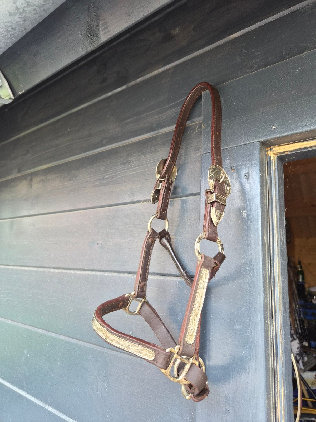 Leder Western halster veulen/mini paard, Ophalen of Verzenden, Western