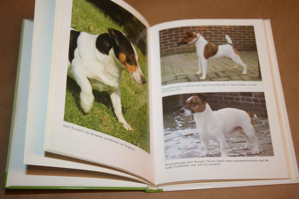 De Jack Russell terrier. Ruud Haak [Onze Hond Handboek], Ophalen of Verzenden, Gelezen, Honden