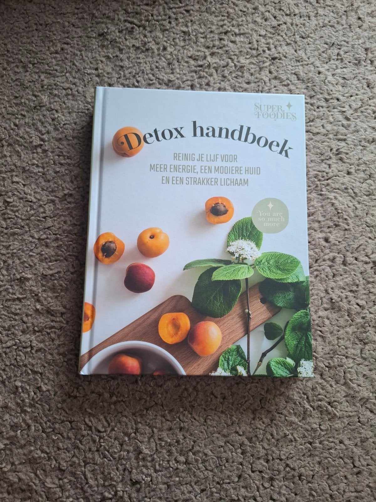 Patricia Lautenschutz - Detox Handboek, Ophalen of Verzenden, Zo goed als nieuw, Patricia Lautenschutz; Jesse van der Velde