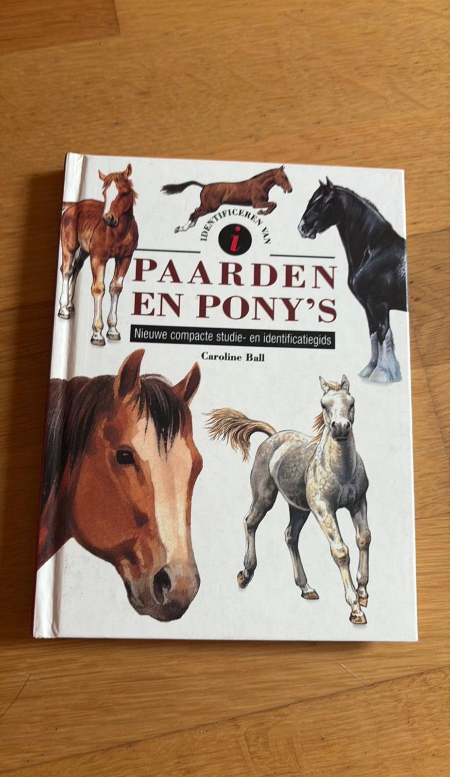 Paarden encyclopedie, Boeken, Ophalen of Verzenden, Zo goed als nieuw, Paarden of Pony's