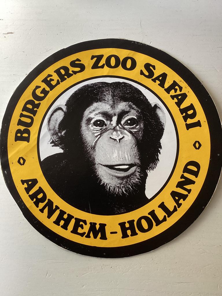 Grote sticker Burgers Zoo Safari Arnhem, Verzenden, Zo goed als nieuw, Dier en Natuur