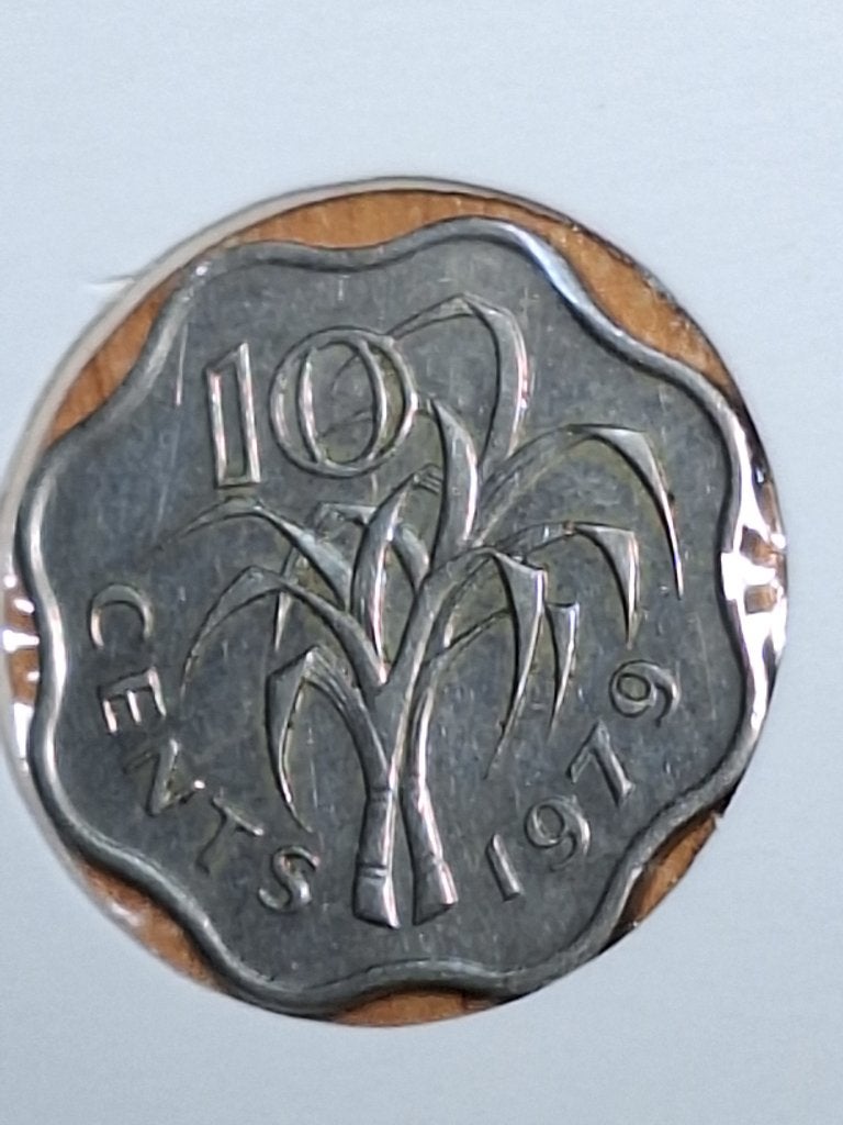 SWAZILAND 10 cents 1979 (#184), Postzegels en Munten, Ophalen of Verzenden, Overige landen, Losse munt