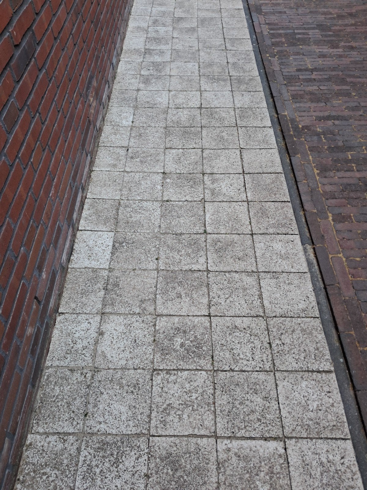 20x20 Schellevis Terrastegels - 15.32m² heel, 37 gezaagd - 5, Ophalen, Gebruikt, 10 m² of meer, Beton