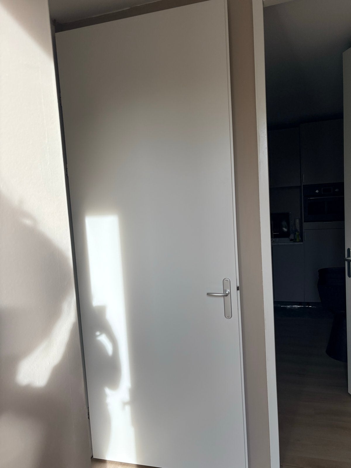Splinternieuwe binnendeur - Nieuwbouw, ongebruikt, Doe-het-zelf en Verbouw, Ophalen, 80 tot 100 cm, 215 cm of meer, Binnendeur