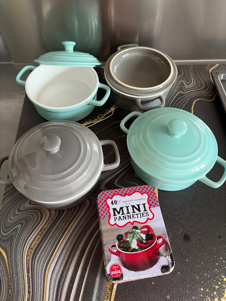 Cook&Co Mini Stoofpannetjes - Set van 4 met receptenboekje, Ophalen of Verzenden, Zo goed als nieuw, Overige materialen, Overige typen