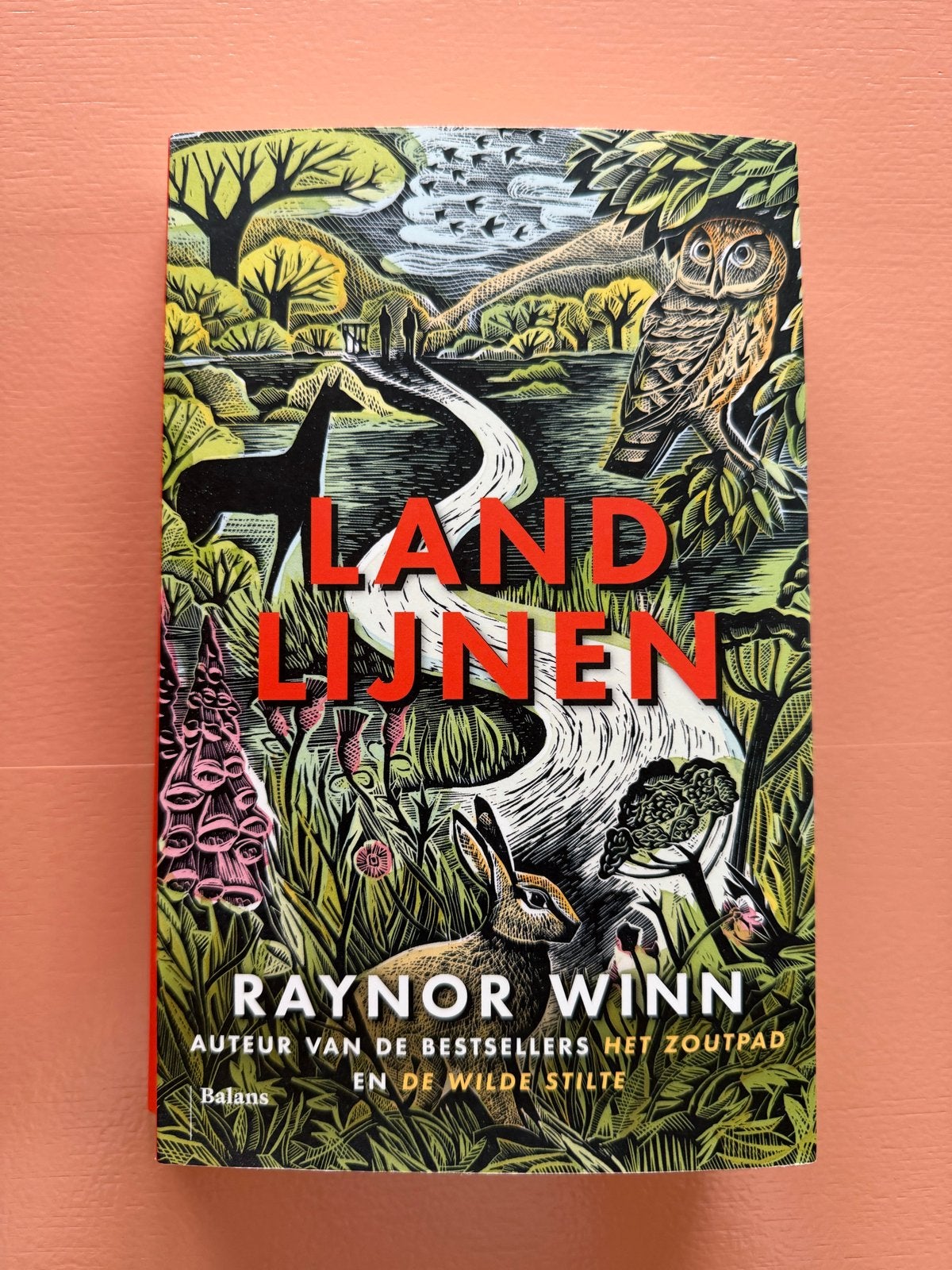 Landlijnen | Raynor Winn, Ophalen of Verzenden, Zo goed als nieuw, Nederland
