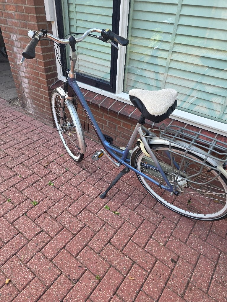 Dames fiets, Fietsen en Brommers, Gebruikt, 47 tot 50 cm, Versnellingen, Ophalen