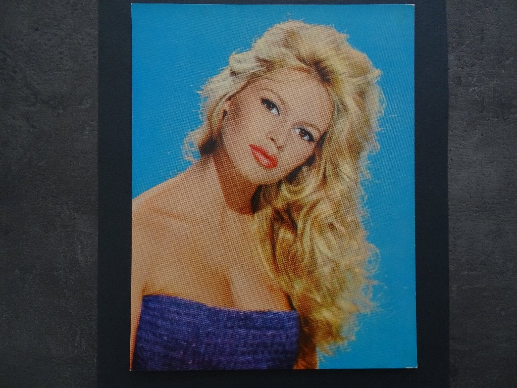 Brigitte Bardot - Afmeting 23,5 x 18,4 cm, Ophalen of Verzenden, 1940 tot 1960, Ongelopen, Sterren en Beroemdheden