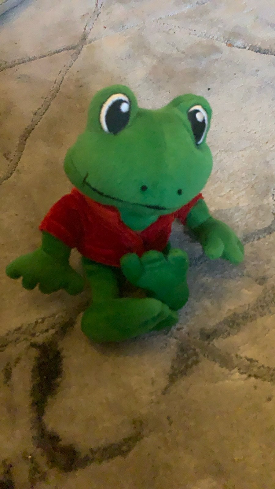 Duinrell Kikker Knuffel - Groen met Rood Shirt, Kikker, Groen, Overige merken, Overige karakters
