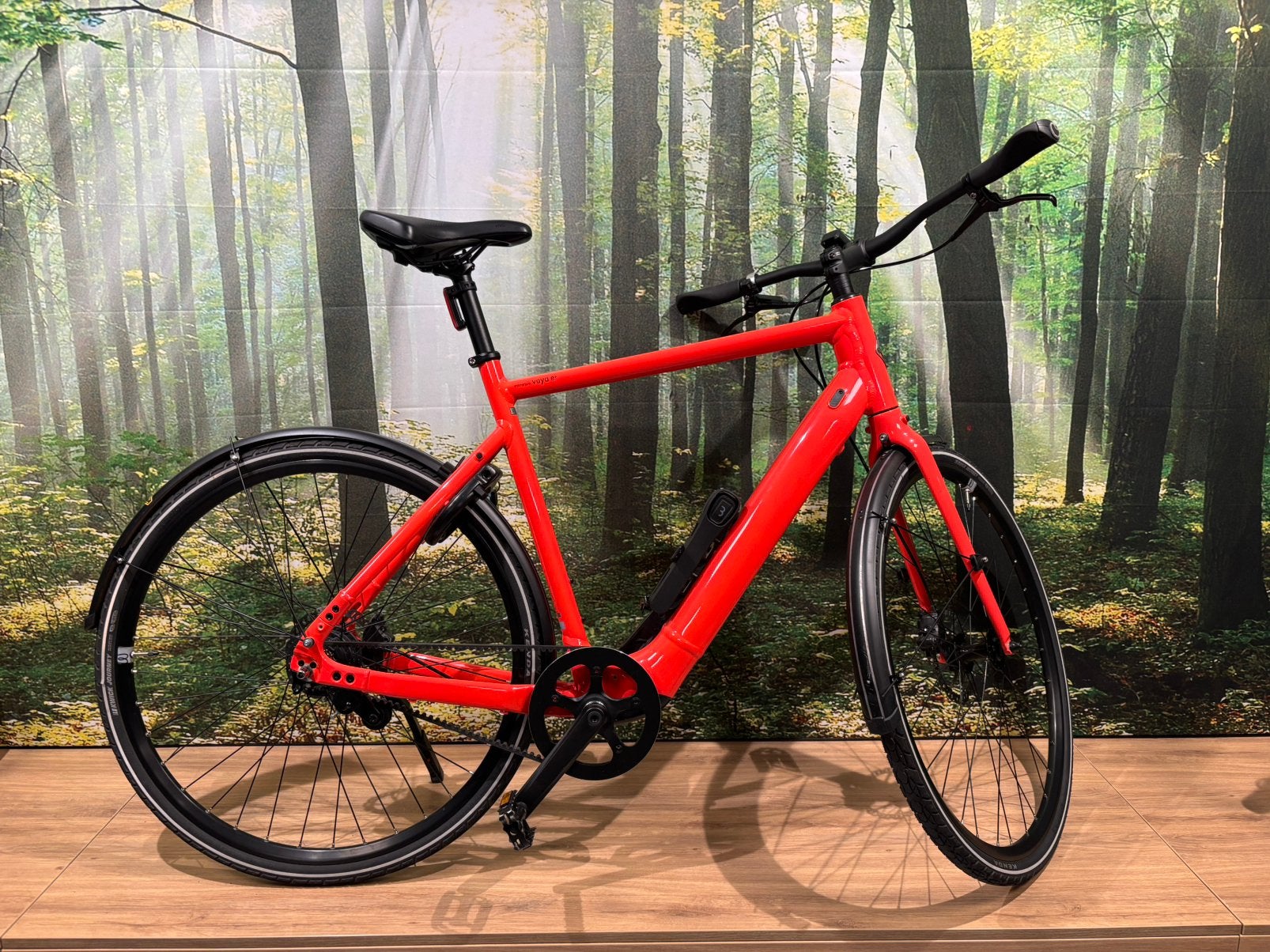 Giant/Momentum Voya E-bike, Ophalen, Giant, Zo goed als nieuw, 57 tot 61 cm