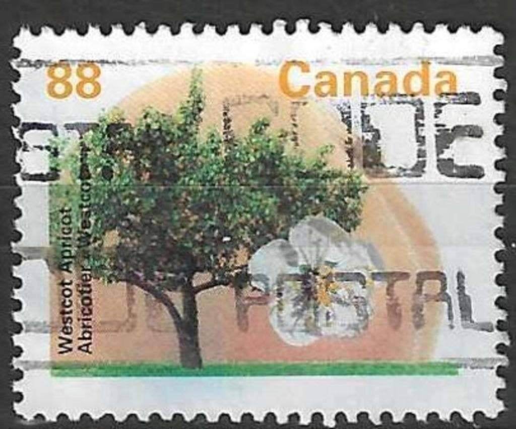 Canada 1994 - Yvert 1358 - Canadese fruitbomen (ST), Verzenden, Gestempeld, Noord-Amerika