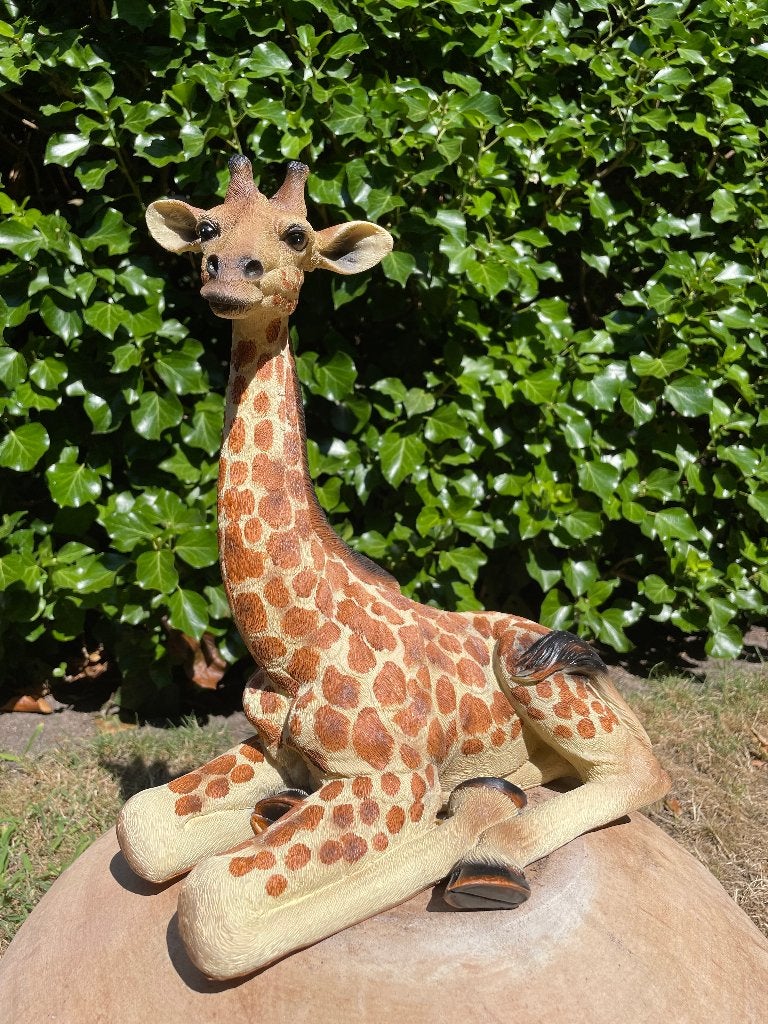 Giraf, liggend, tuin, woonkamer, dierentuin 32cm, Ophalen, Nieuw, Kunststof, Dierenbeeld