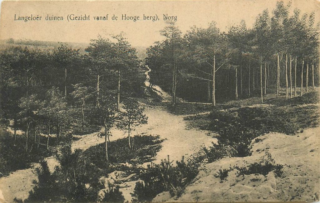 701-210-037 Norg Langeloer Duinen, Verzenden, Voor 1920, Drenthe